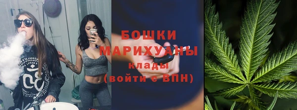 apvp Каменка