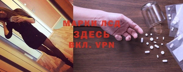 apvp Каменка