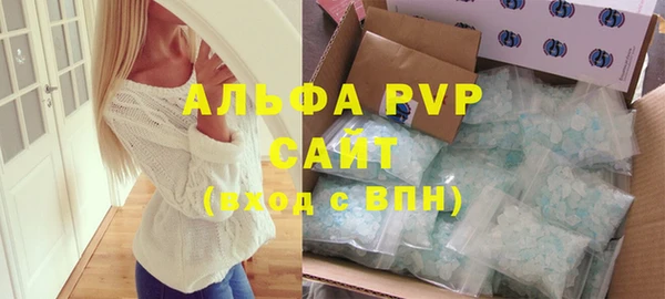 apvp Каменка