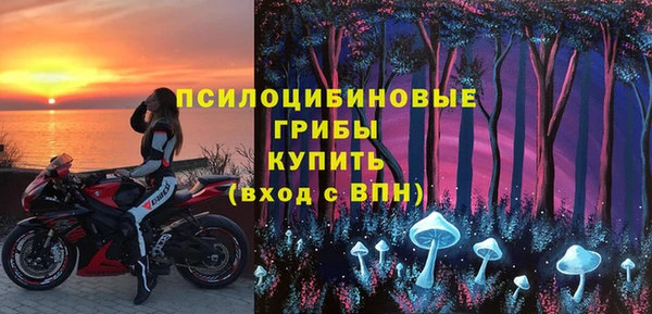 apvp Каменка