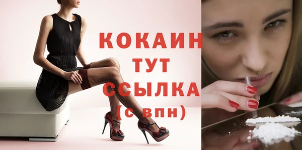 apvp Каменка