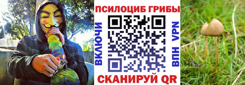 Галлюциногенные грибы Psilocybine cubensis  Купить  Верхний Уфалей 